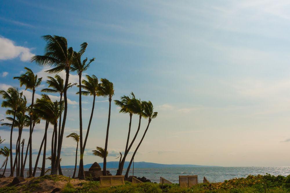 Kohea Kai Maui Hotel Kihei Exterior photo
